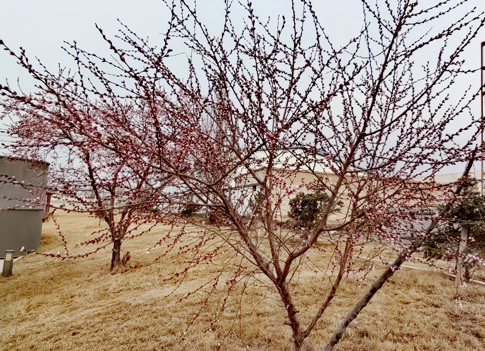 IMG_20260323_191030_edit_138705698763753 IMG_20260323_191030_edit_138705698763753