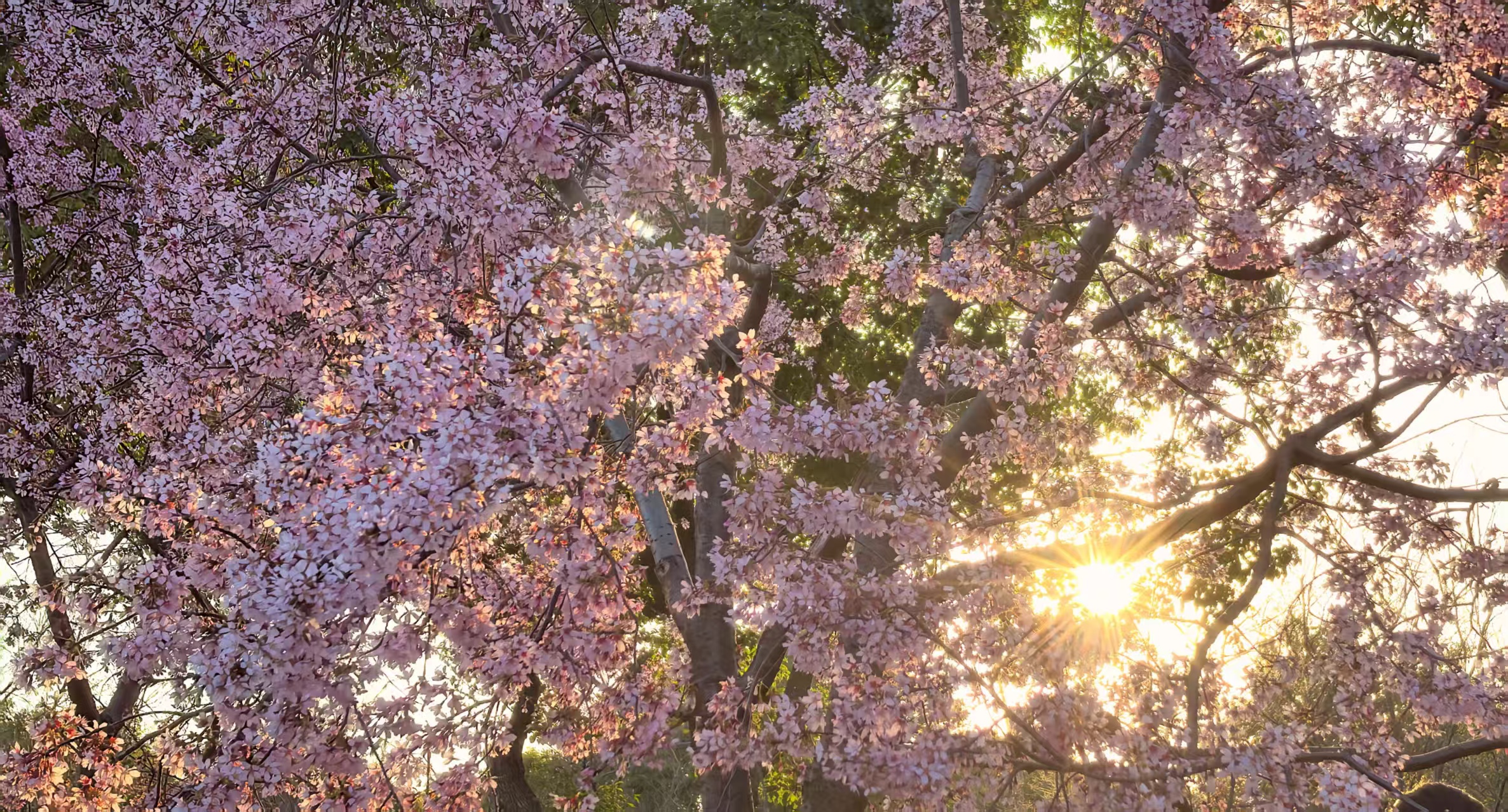 微信图片_20260401152308_31_9