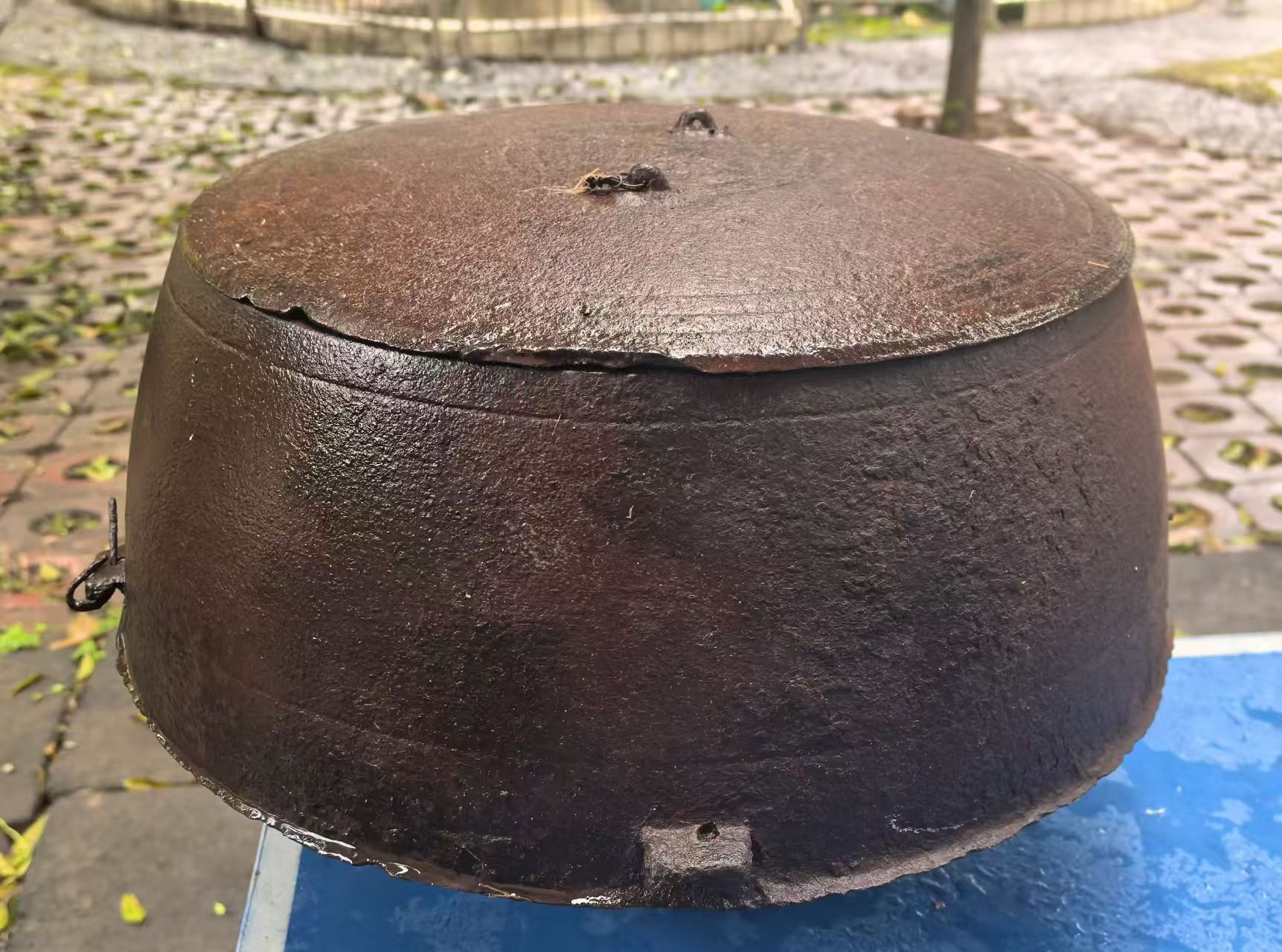 微信图片_20260327202516_564_15