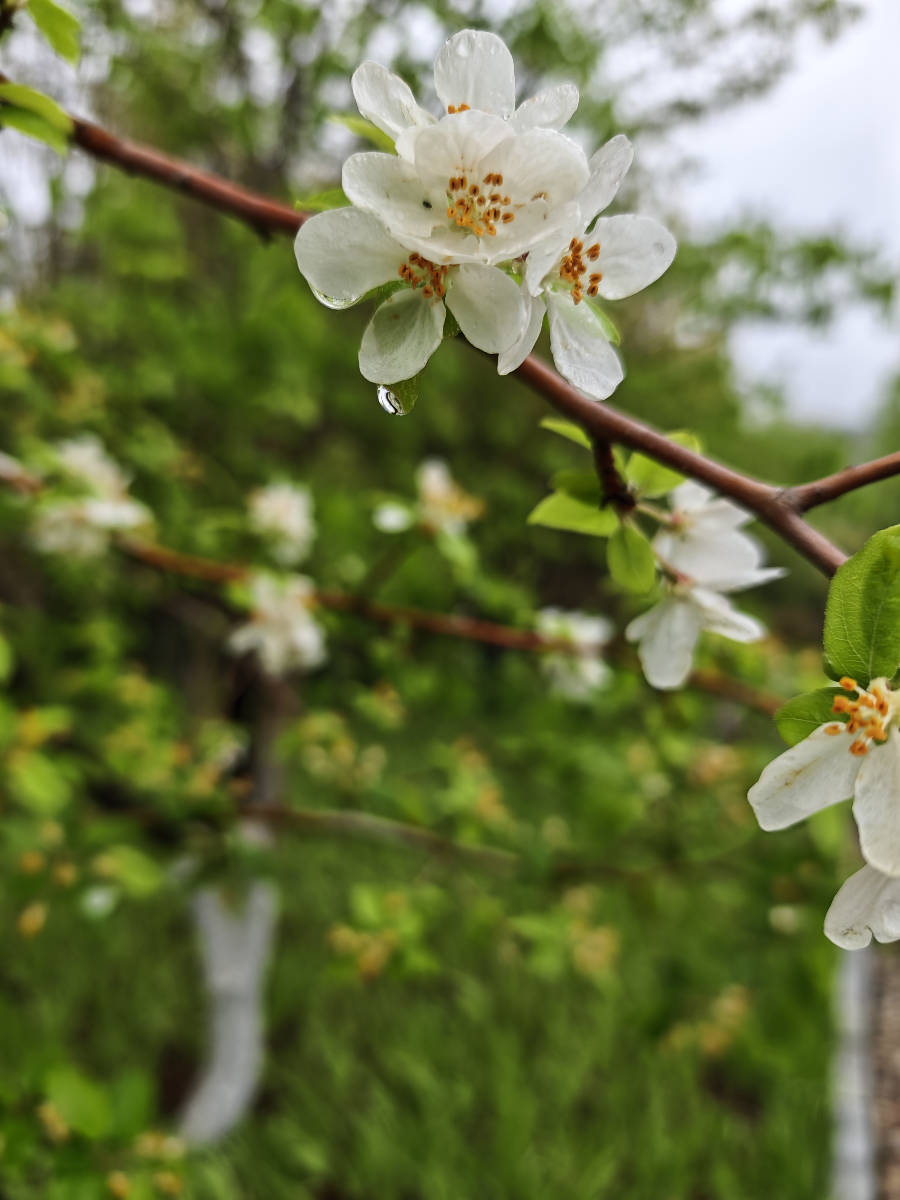 IMG_20260409_085858 IMG_20260409_085858