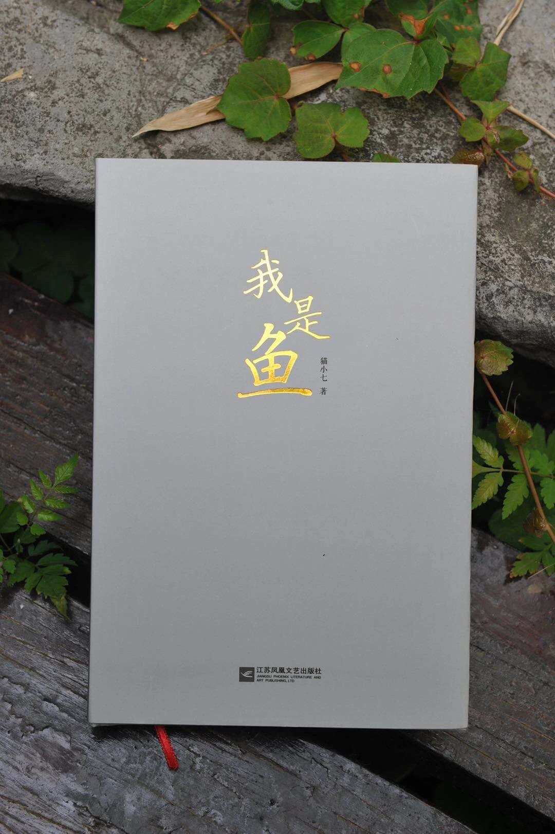图片3