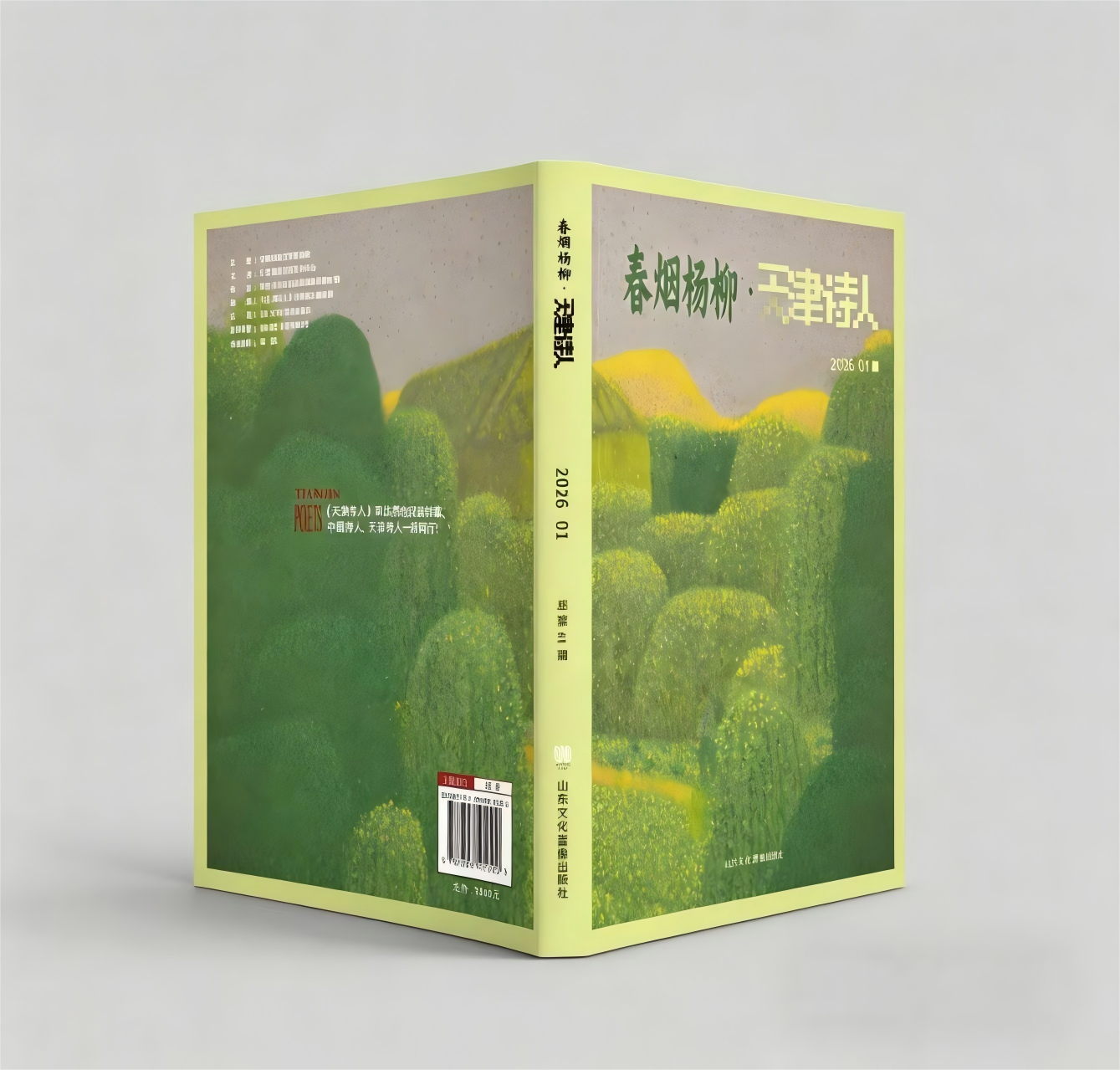 图片3