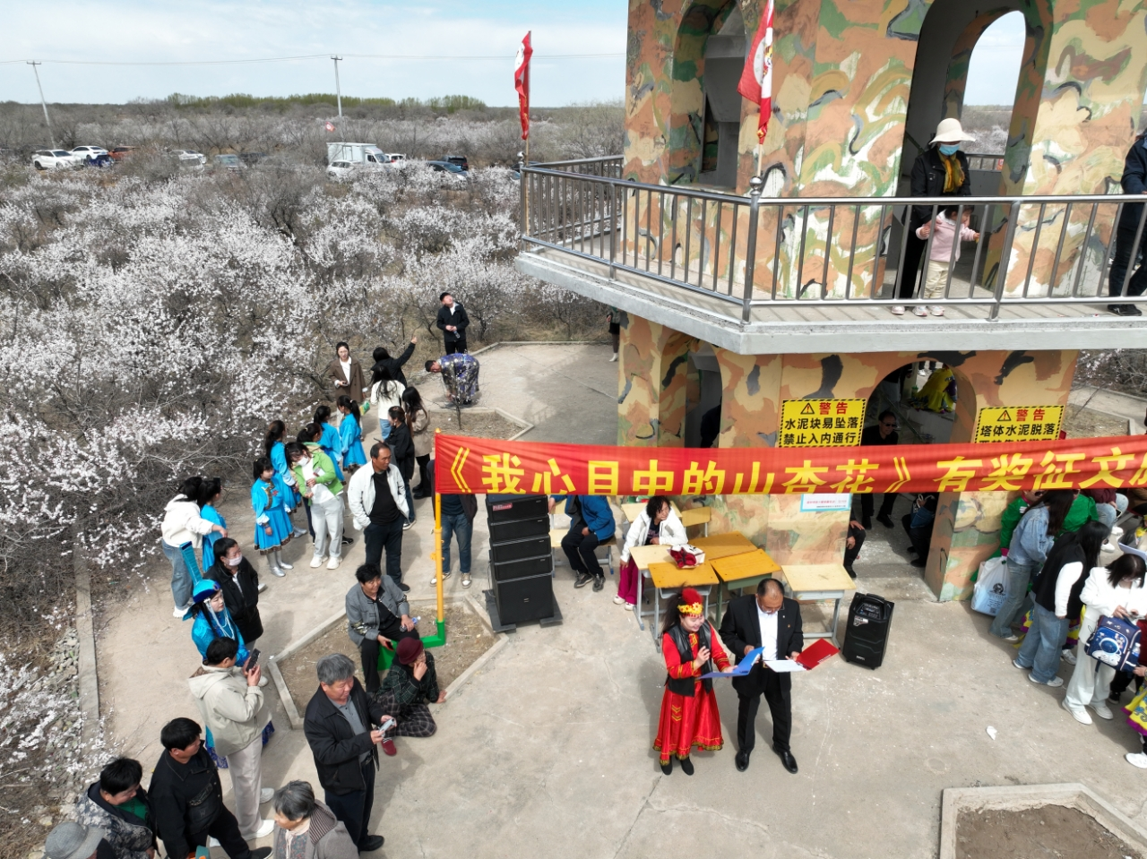 图片5