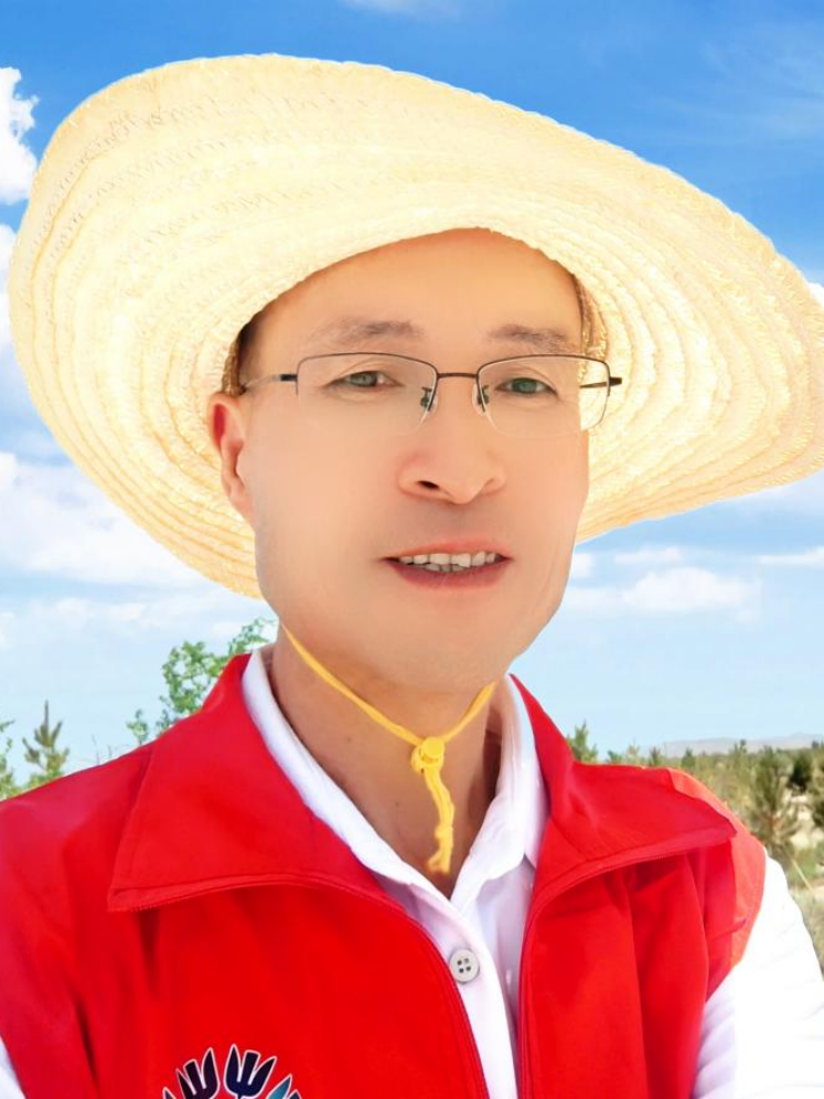 图片1