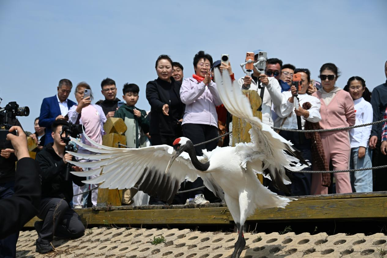 图片5