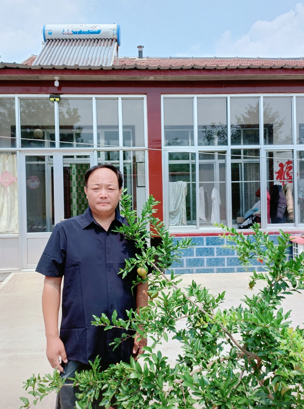 图片1