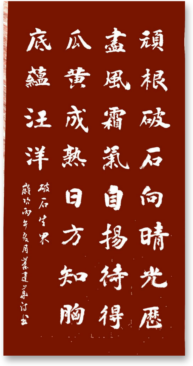 图片1