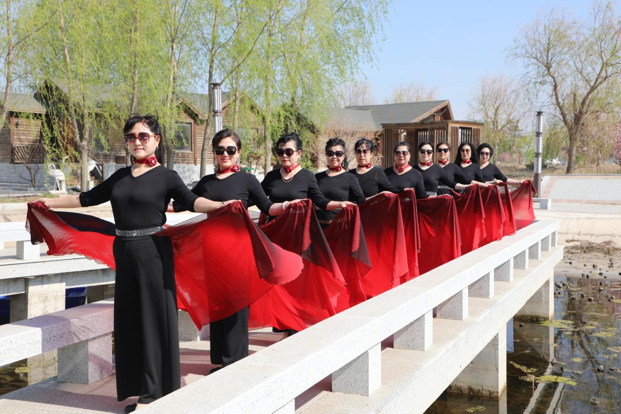 图片11 图片11