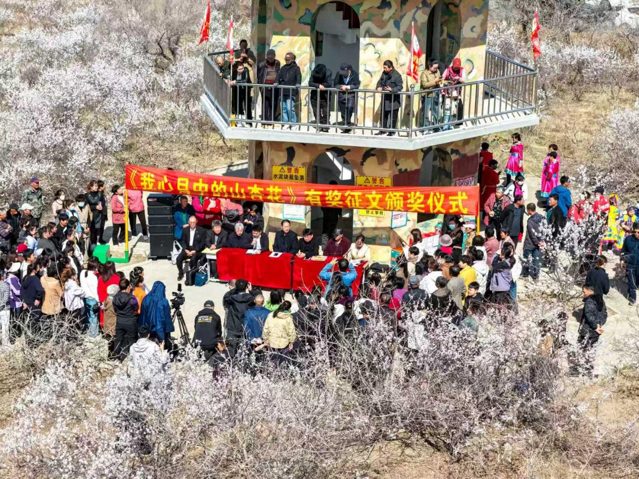 图片13