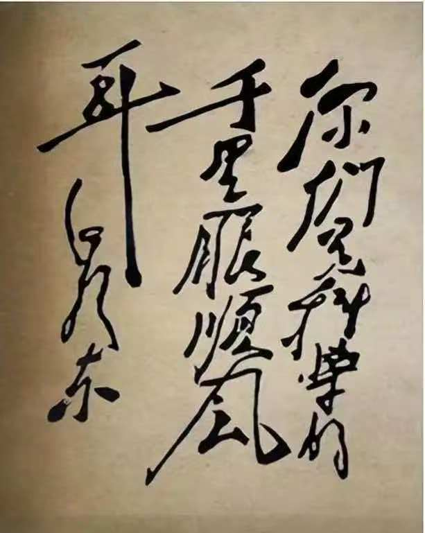 图片6