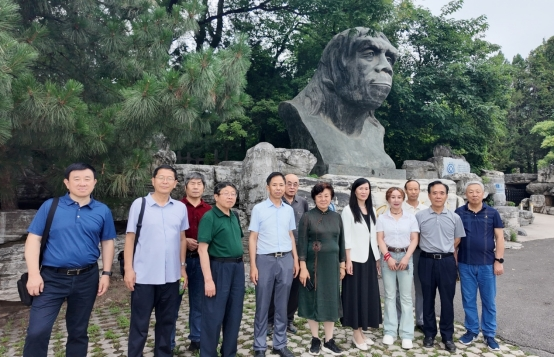 图片6