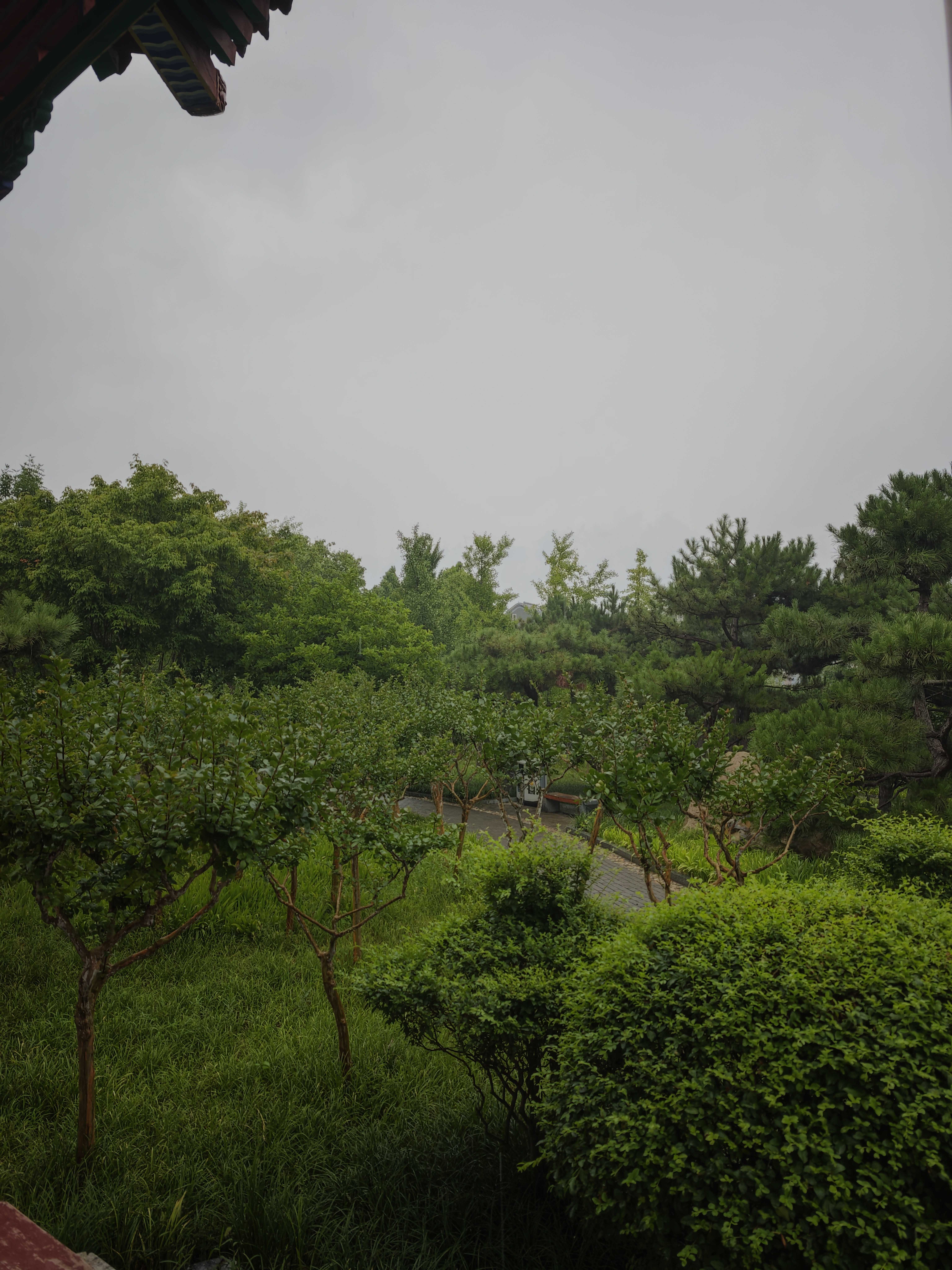 IMG_20260706_172840_new
