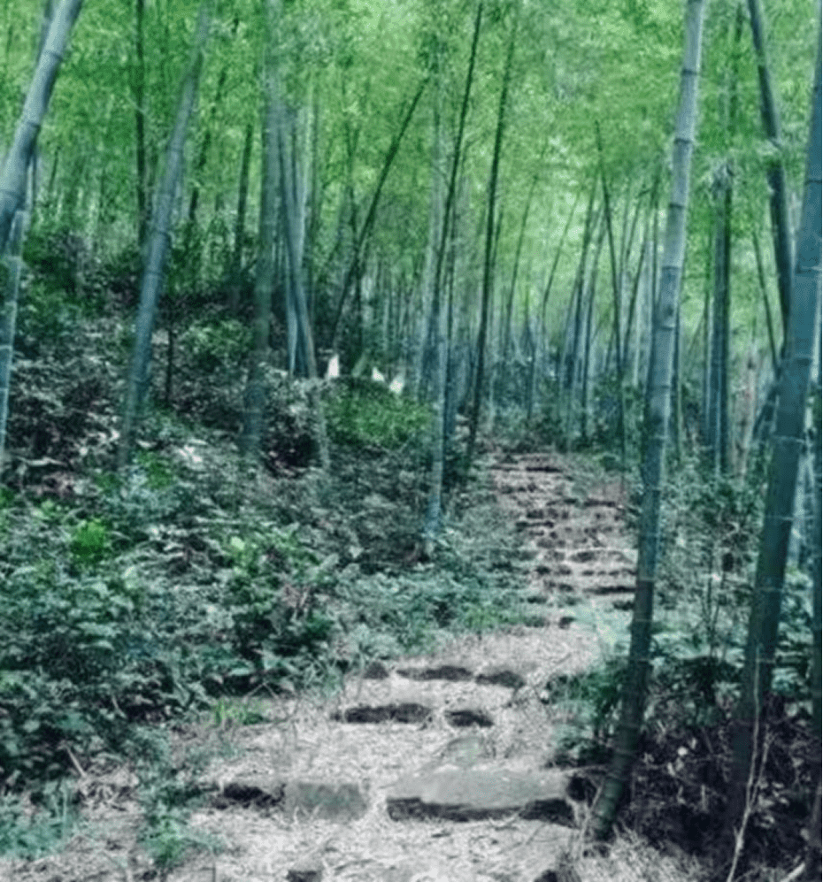 图片2_new 图片2_new