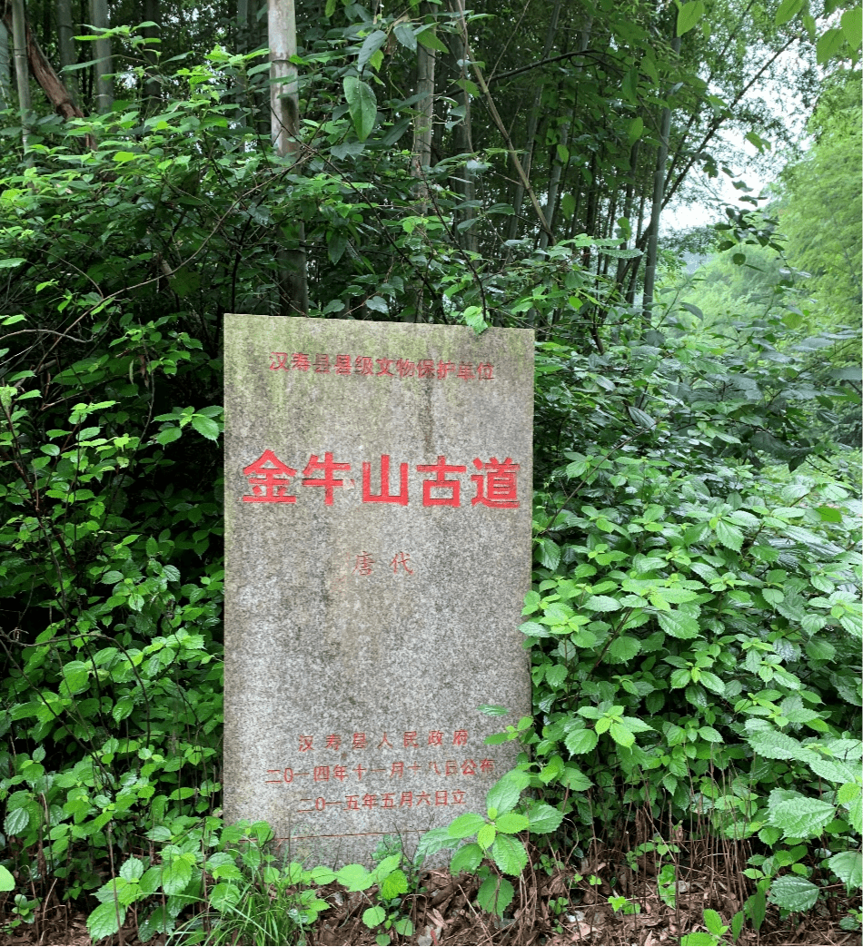 图片3_new 图片3_new