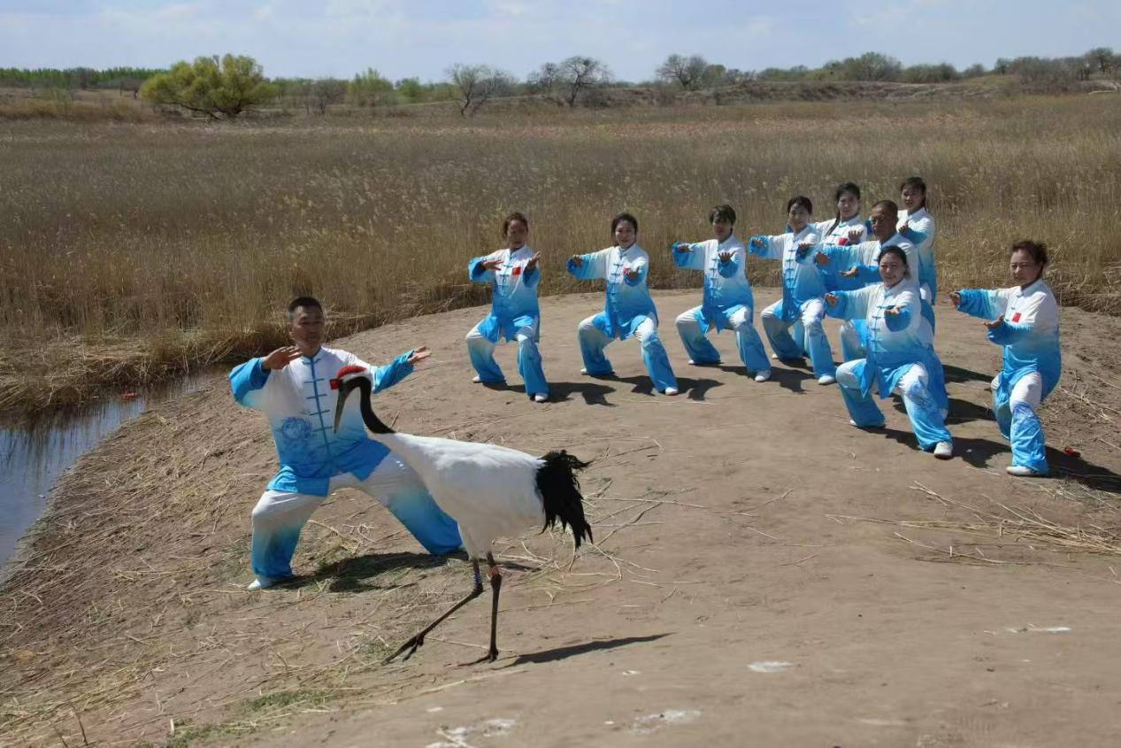 图片2