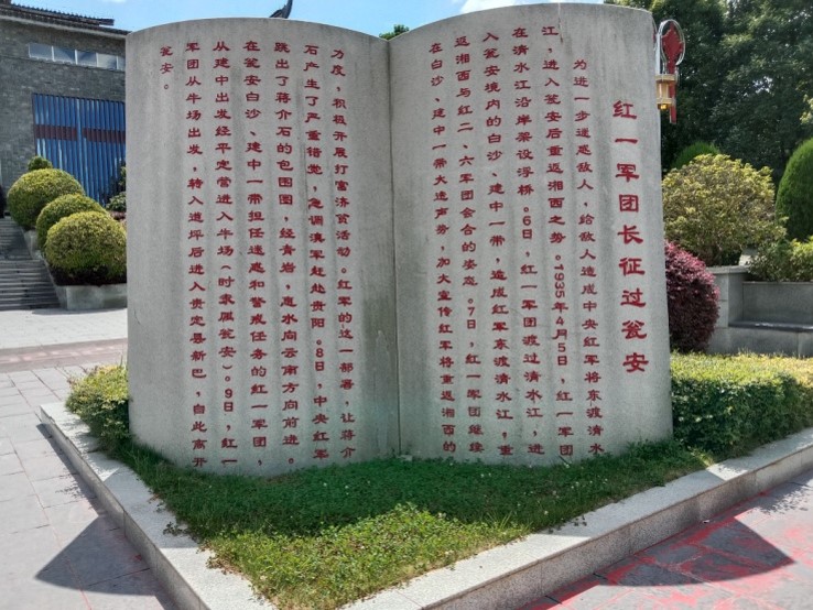 图片8