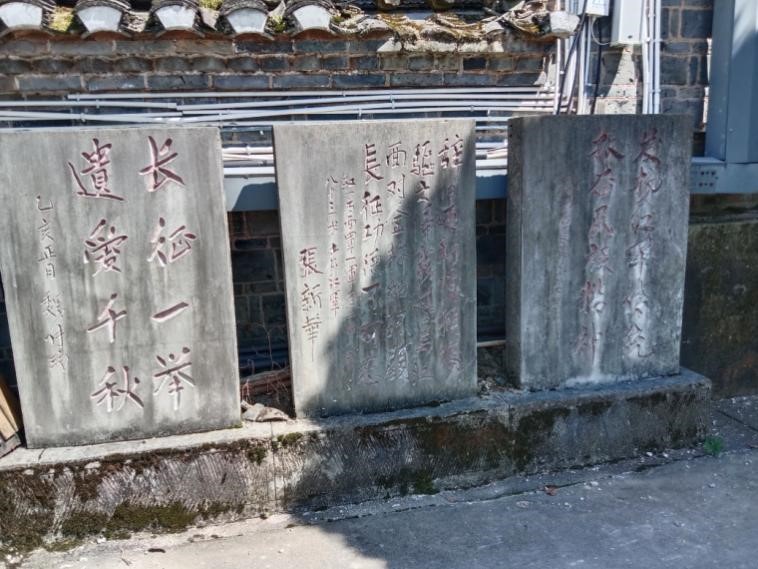 图片16