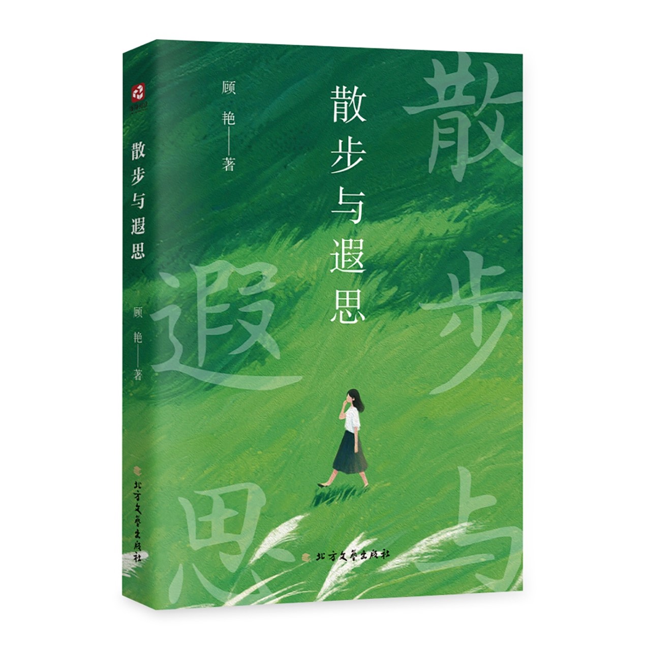 图片12
