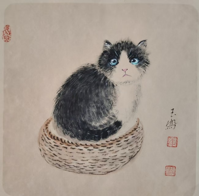 图片3