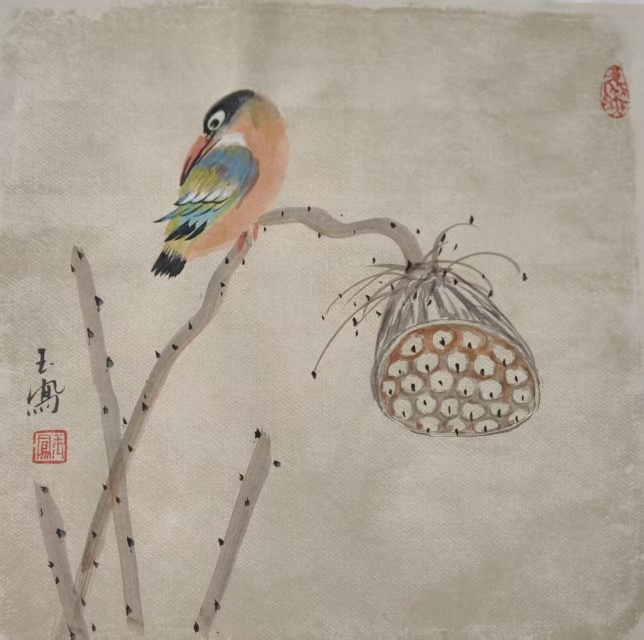 图片6