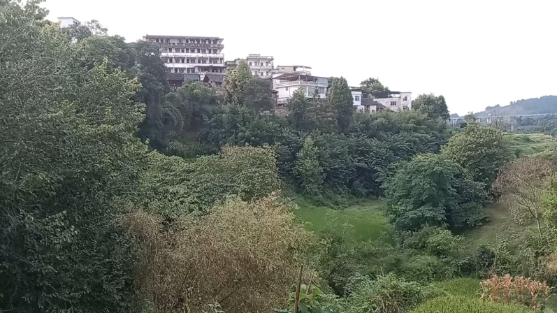 图片7