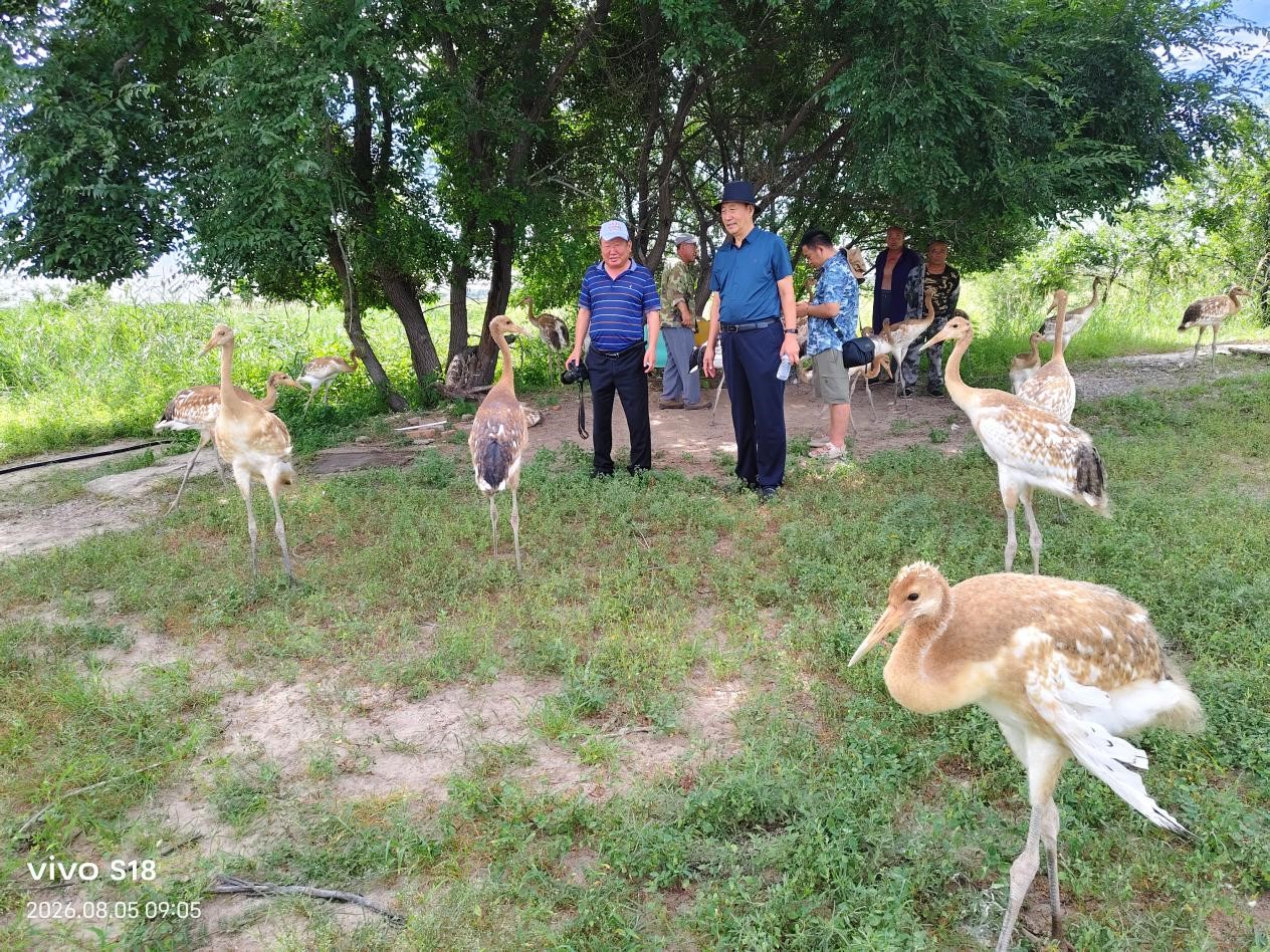 图片1 图片1