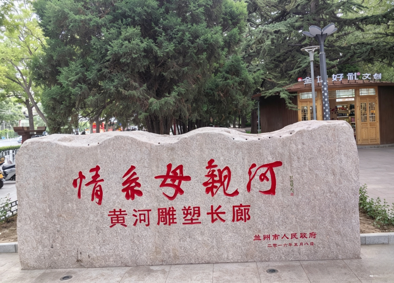 图片8