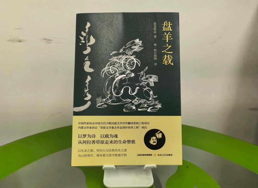 图片3