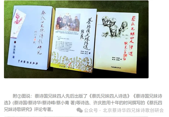 图片7