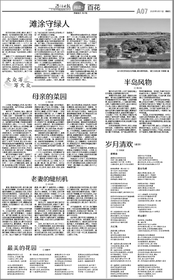 图片9