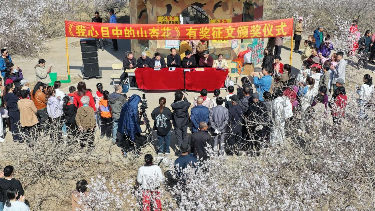 图片9