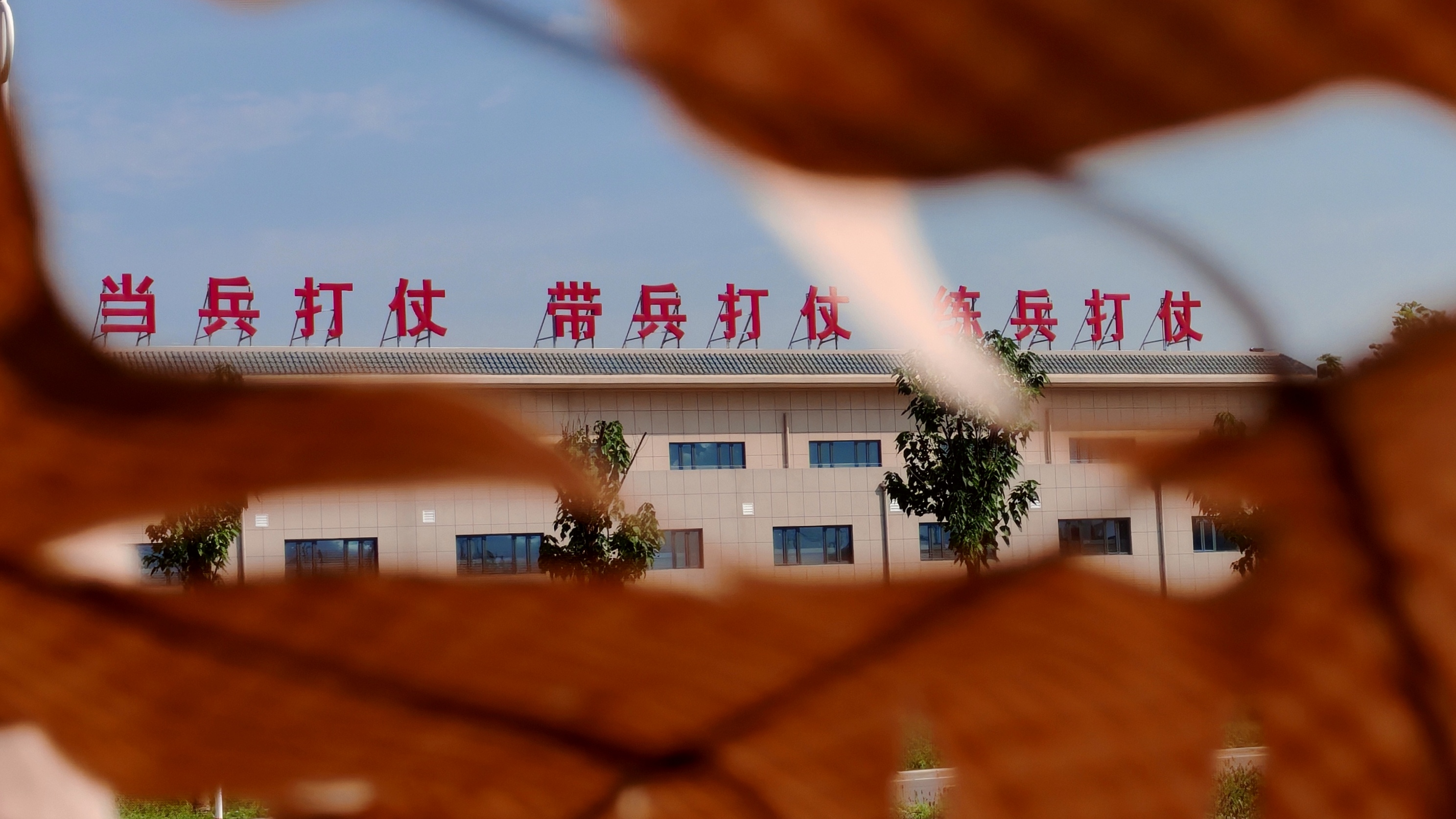 微信图片_20260925155531_50_1