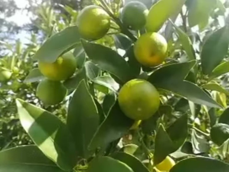 图片2 图片2
