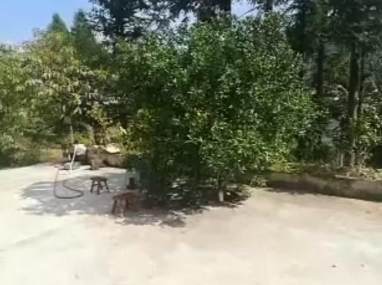 图片1 图片1