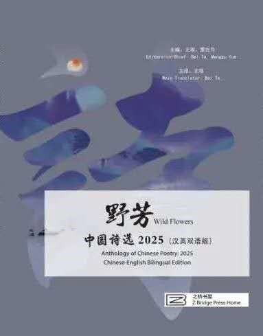 图片10 图片10