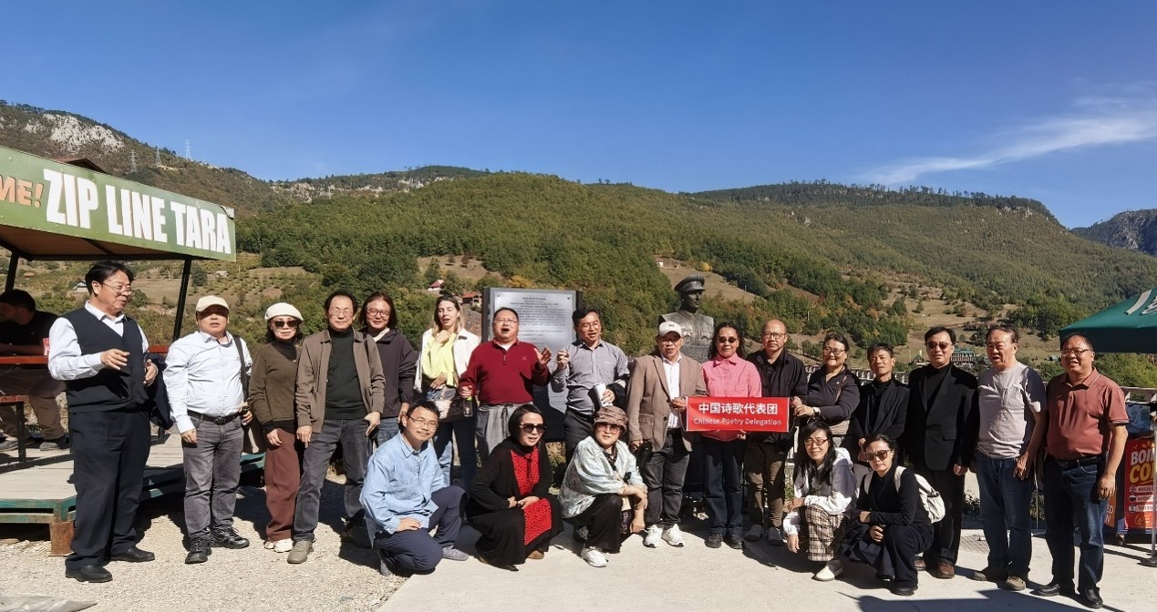 图片14