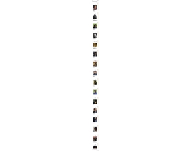 {t.title}