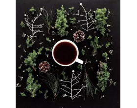 {t.title}