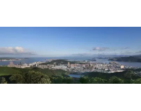 {t.title}
