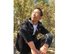 {t.title}