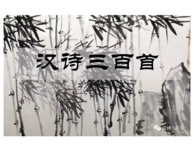 {t.title}