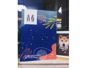 {t.title}